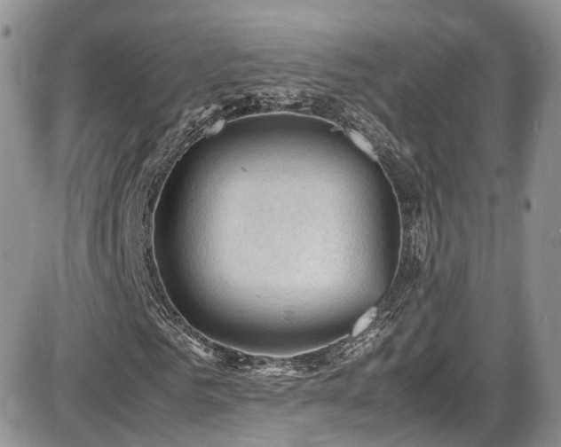 X0000086030961200703231208