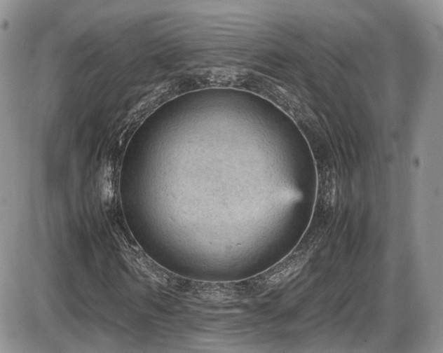 X0000086030962200703231208