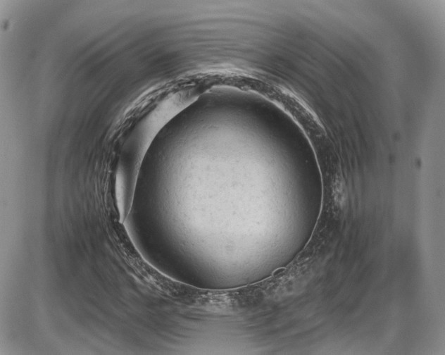 X0000086030968200703231208