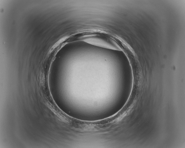 X0000086030969200703231208