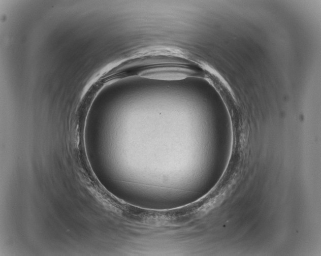 X0000086030973200703231208