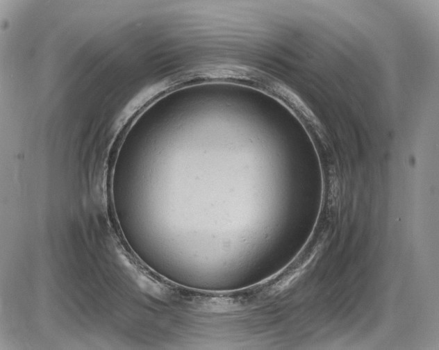 X0000086030986200703231207