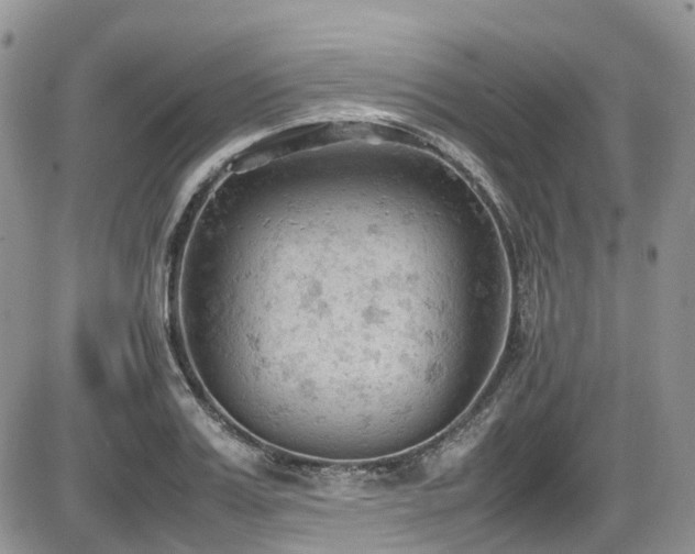 X0000086030987200703231207
