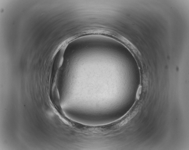 X0000086030993200703231207
