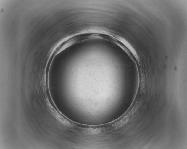 X0000086030996200703231207