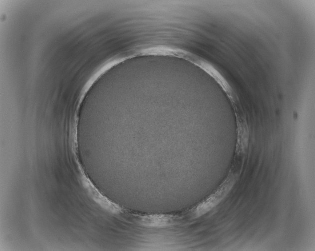 X0000086031000200703231207