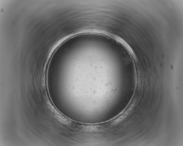 X0000086031004200703231207