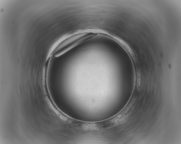 X0000086031006200703231207