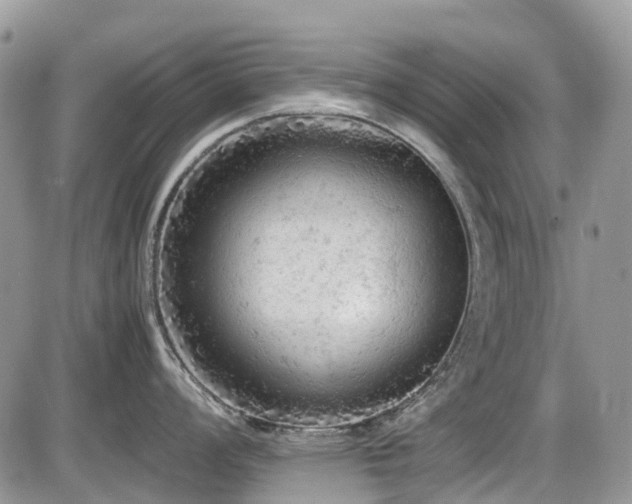 X0000086031008200703231207