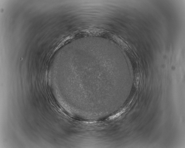 X0000086031010200703231206