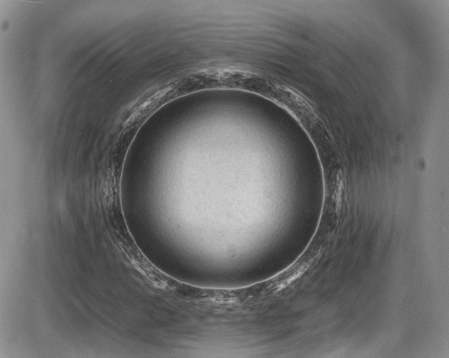 X0000086031014200703231206