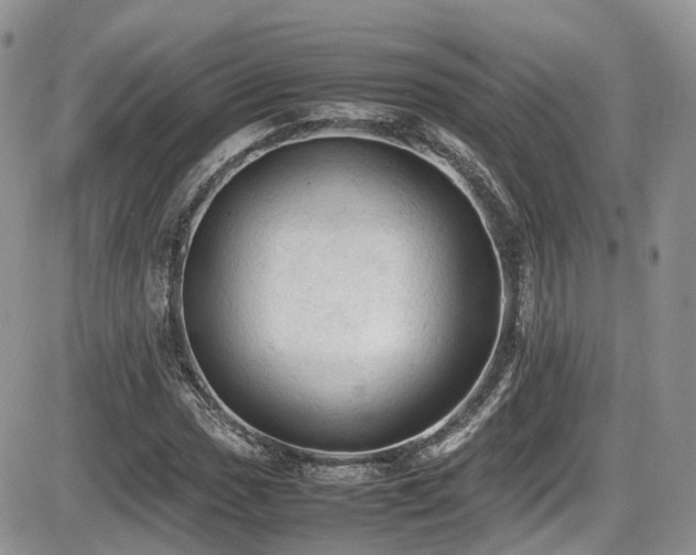 X0000086031017200703231206