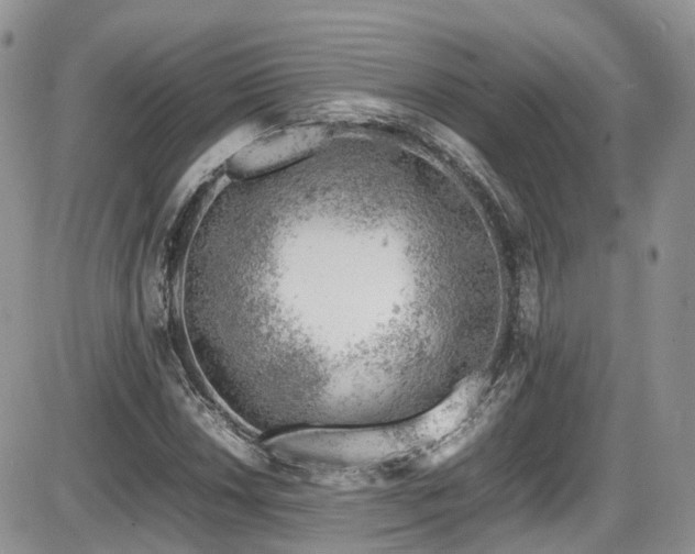 X0000086031018200703231206