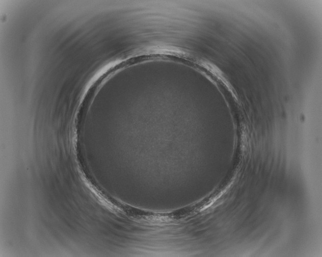 X0000086031024200703231206