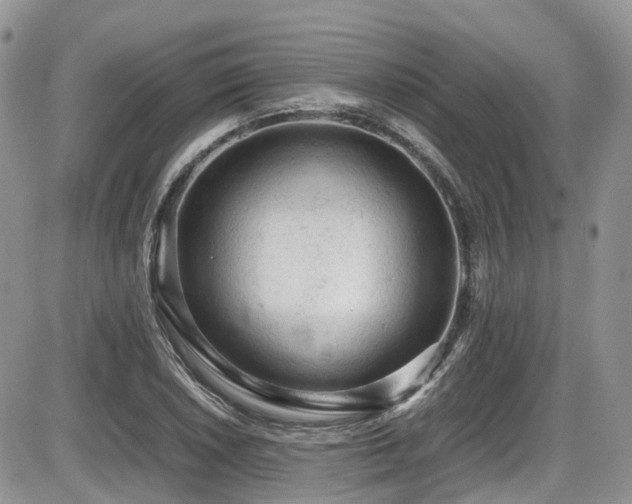 X0000086031026200703231206
