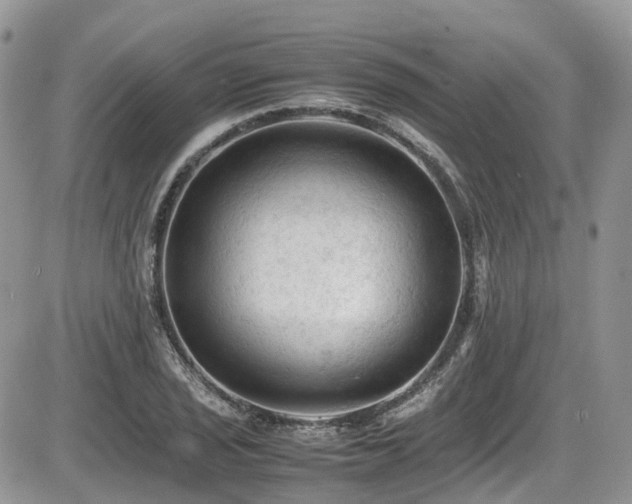 X0000086031029200703231206