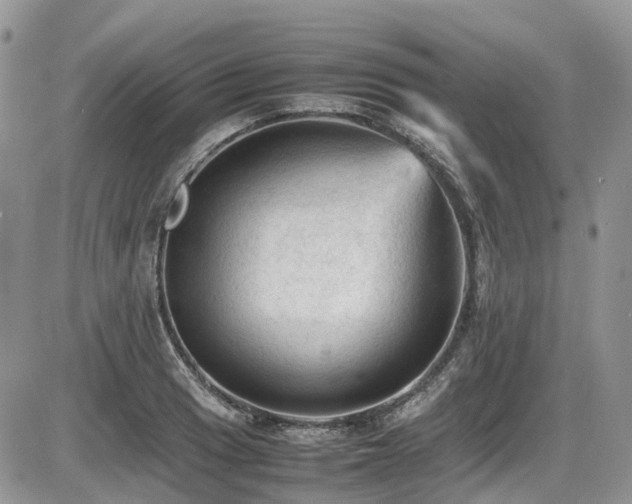 X0000086031033200703231207
