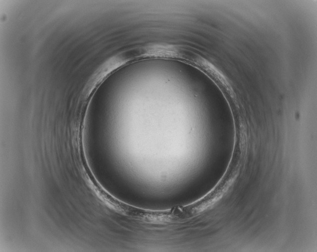 X0000086031041200703231207