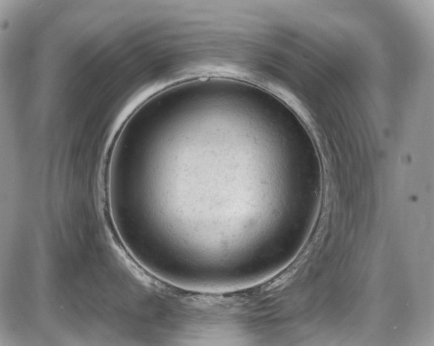 X0000086031056200703231207