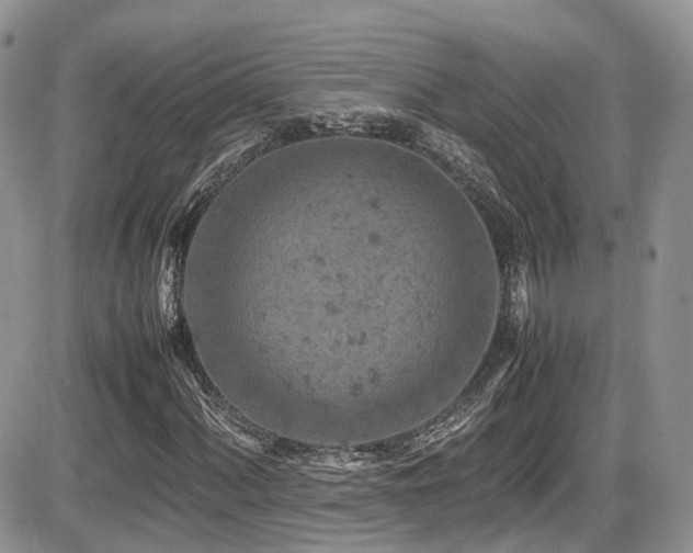 X0000086031060200703231206