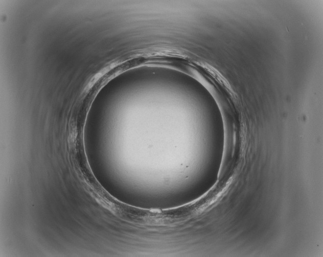X0000086031065200703231206