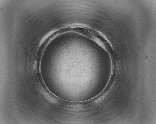 X0000086031066200703231206