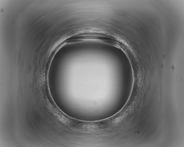 X0000086031073200703231206
