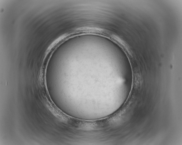 X0000086031074200703231206