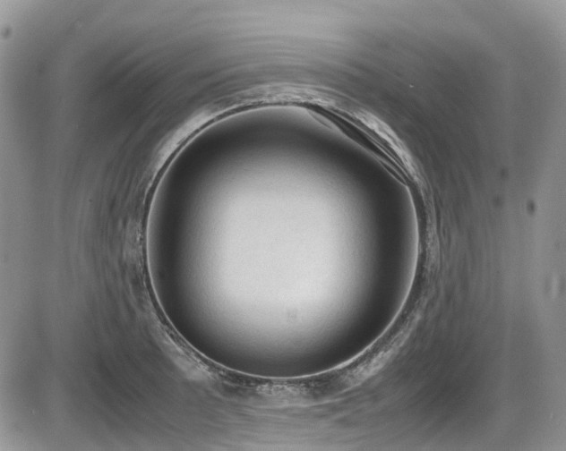X0000086031089200703231206