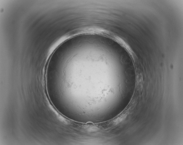 X0000086031103200703231205