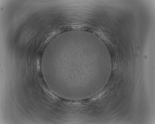 X0000086031106200703231205