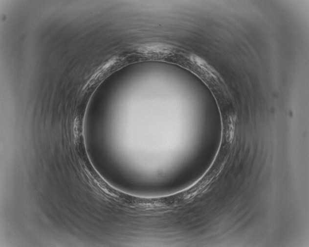 X0000086031108200703231205