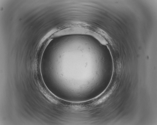 X0000086031114200703231205
