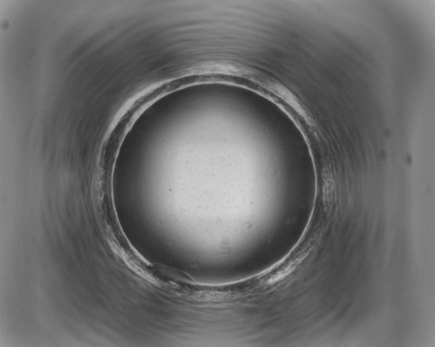 X0000086031116200703231205