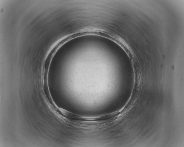 X0000086031124200703231205