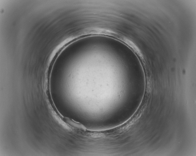 X0000086031136200703231205