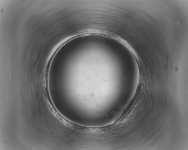 X0000086031148200703231205