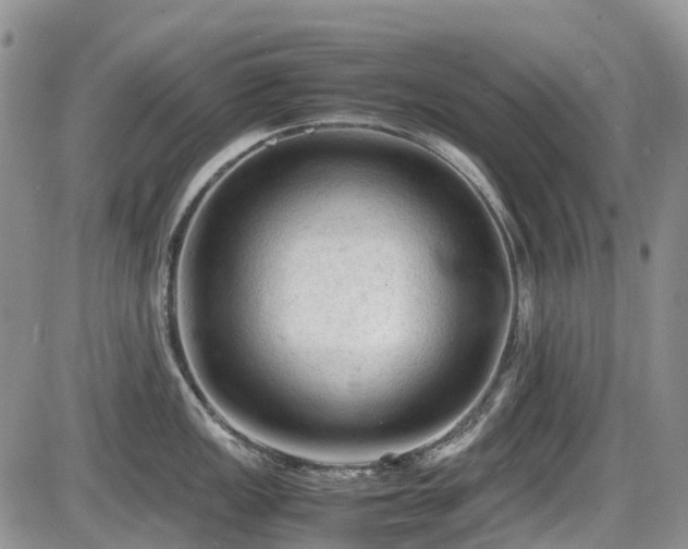 X0000086031149200703231205