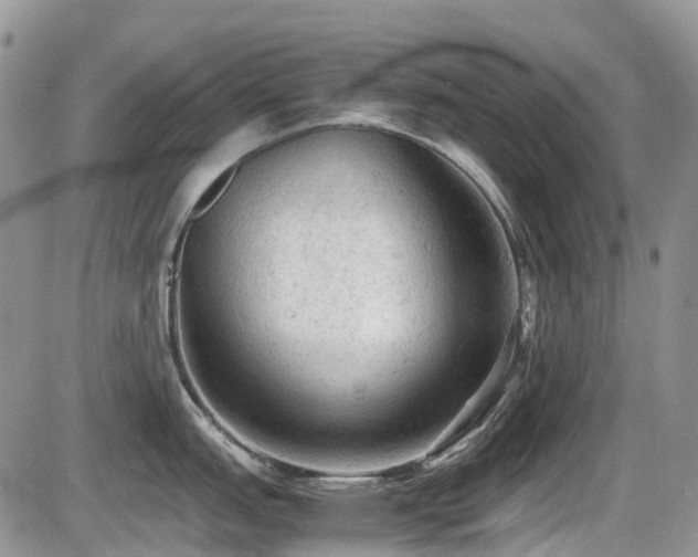 X0000086031151200703231205