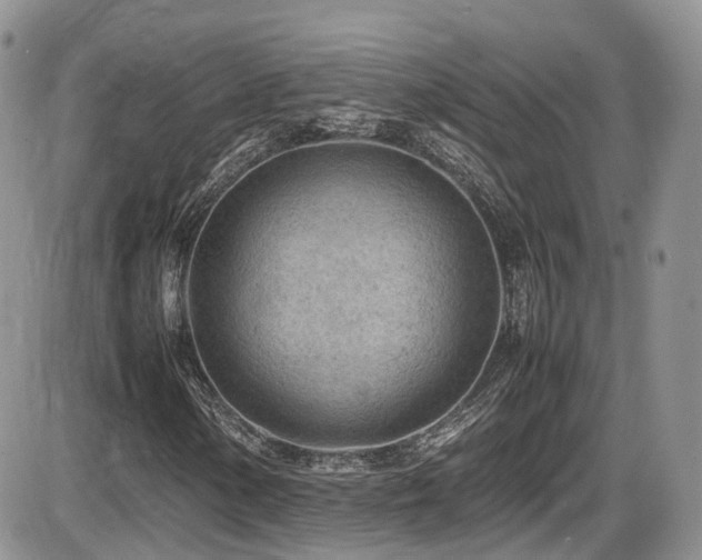 X0000086031154200703231205