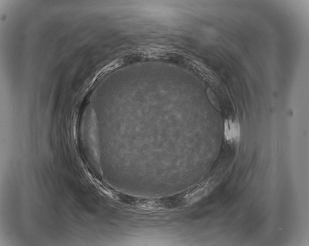 X0000086031155200703231204