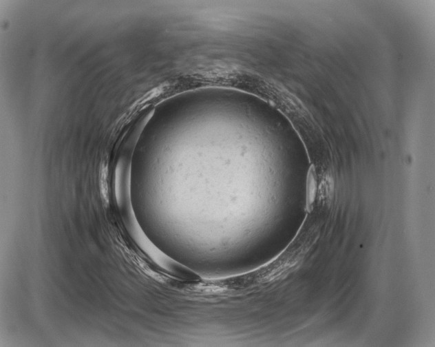 X0000086031156200703231204