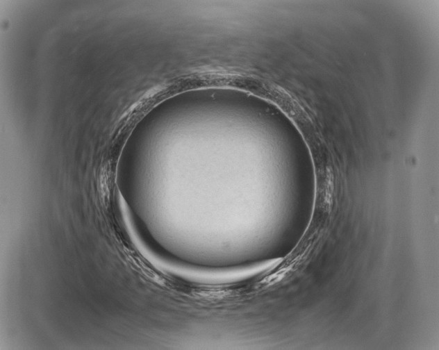 X0000086031157200703231204