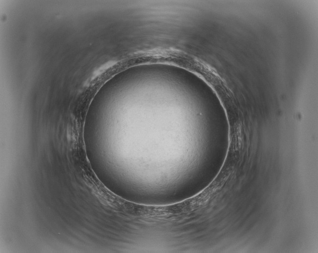 X0000086031158200703231204