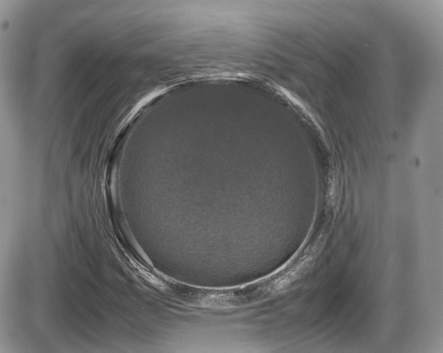X0000086031161200703231204