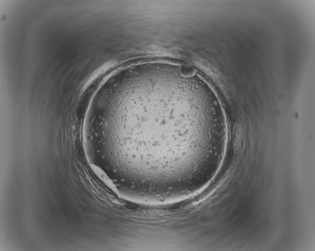 X0000086031163200703231204