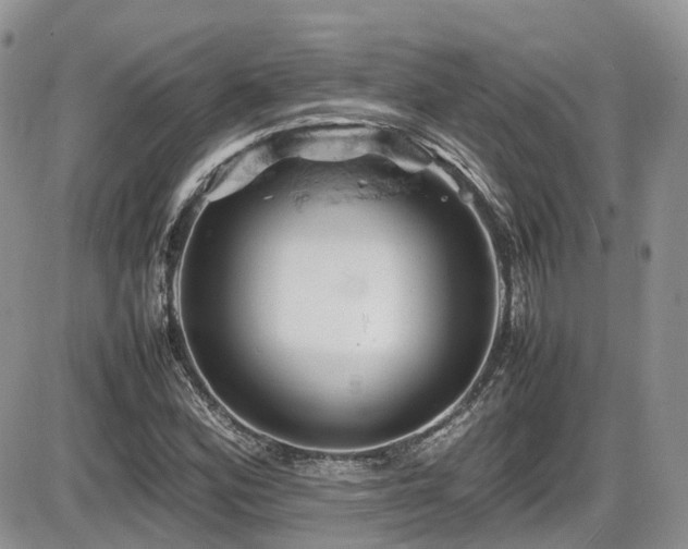 X0000086031164200703231204
