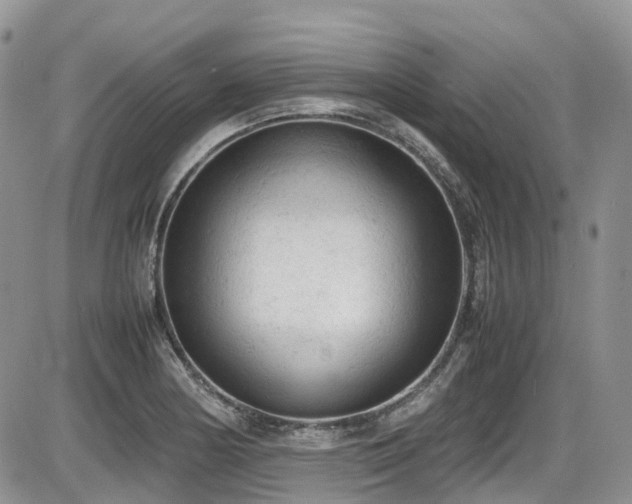 X0000086031178200703231204