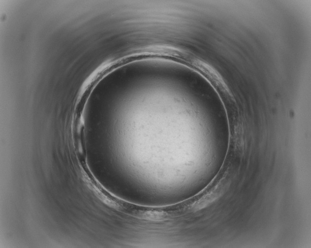 X0000086031180200703231204