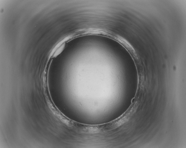 X0000086031190200703231204